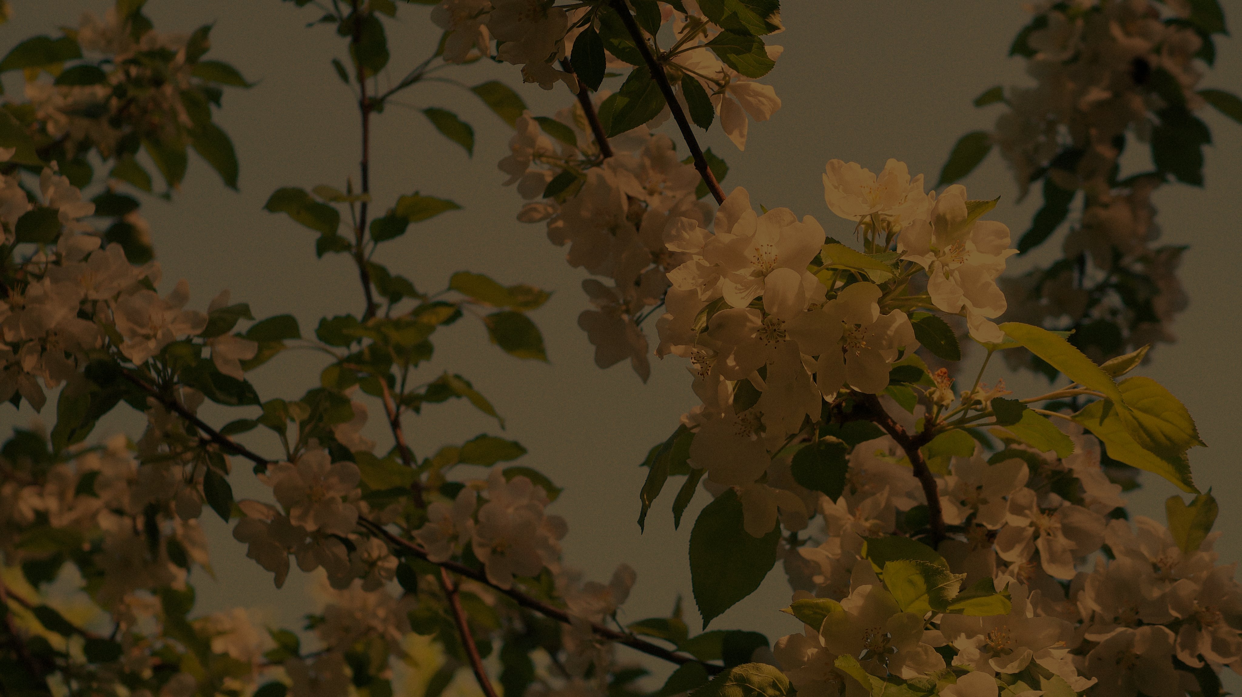 another cms test!